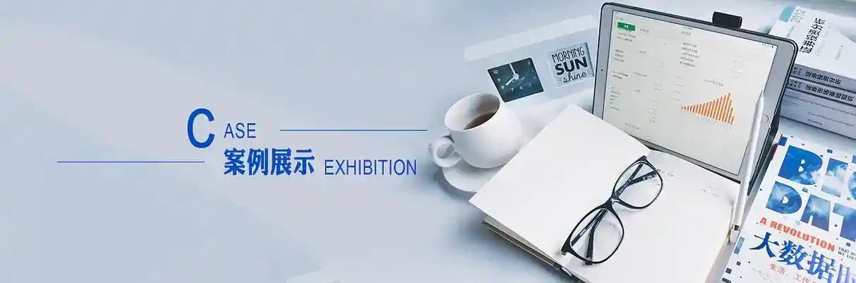 小金县软件开发